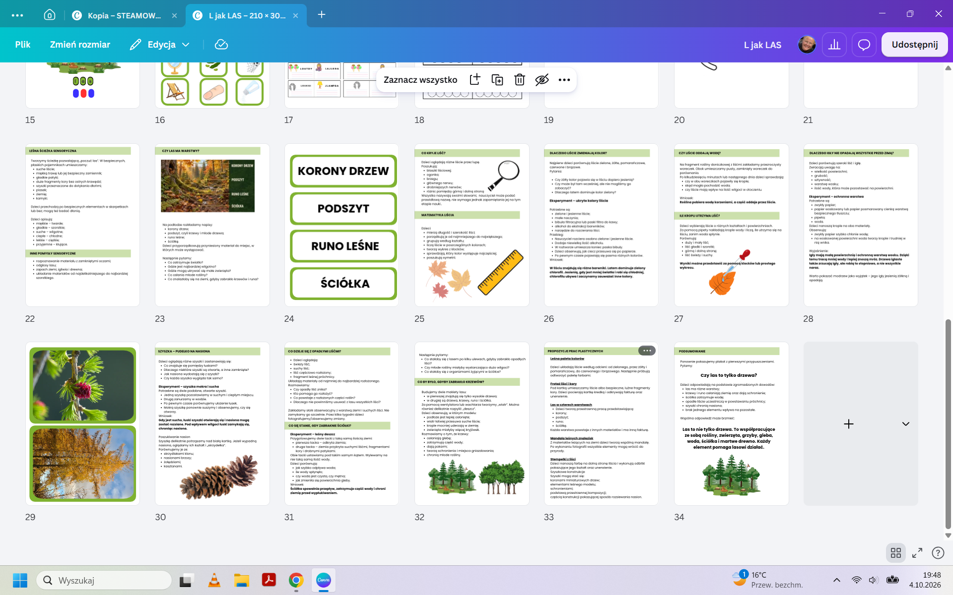 L jak LAS – materiały do nauki litery L przez przyrodnicze odkrywanie | 34 strony PDF - obrazek 3